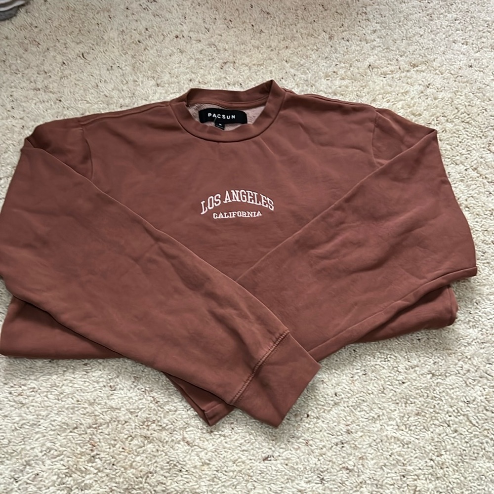 Pacsun crewneck sweater